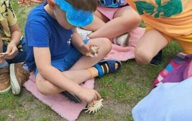 Z Kicią Kocią maluchy zmieniają się w zuchy" Kicia Kocia na plaży 7