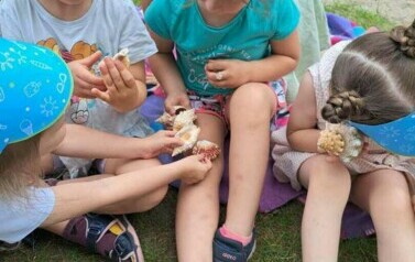 Z Kicią Kocią maluchy zmieniają się w zuchy" Kicia Kocia na plaży 8