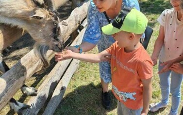 Wycieczka oddziału VI &bdquo; Nutek&rdquo; oraz IV &bdquo; Promyk&oacute;w&rdquo; do Nieborowa.  4