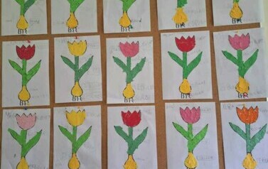 Certyfikat za udział w og&oacute;lnopolskim projekcie edukacyjnym  pt.&bdquo;FA-LA-MI&rdquo; 5