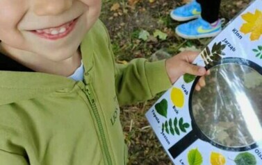 W lesie i w parku - oddział III Motyle 14