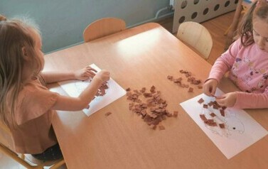 W lesie i w parku - oddział III Motyle 41