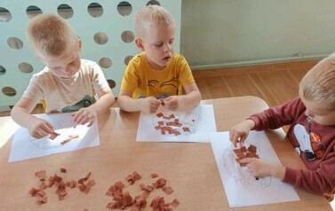 W lesie i w parku - oddział III Motyle 42