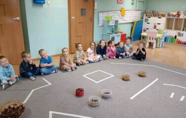Śladami dzikich zwierząt - Oddział III Motyle 22