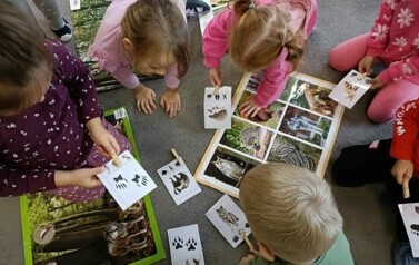 Śladami dzikich zwierząt - Oddział III Motyle 51