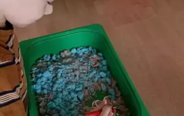 Dzień Dinozaura - oddział III Motyle 74