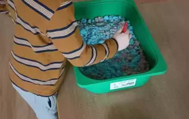 Dzień Dinozaura - oddział III Motyle 77