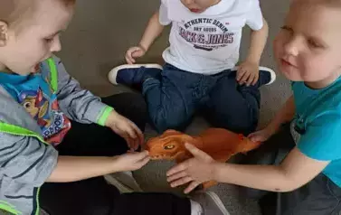 Dino.. dino.. dinozaury - tydzień z dinozaurami oddział III Motyle 1