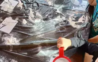 Dino.. dino.. dinozaury - tydzień z dinozaurami oddział III Motyle 34