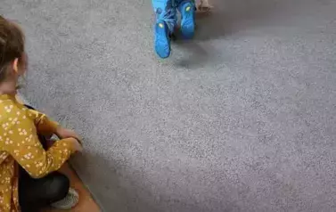 Dino.. dino.. dinozaury - tydzień z dinozaurami oddział III Motyle 123
