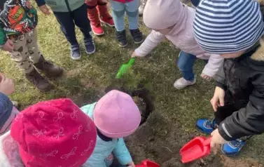Sadzimy drzewka w naszym ogrodzie przedszkolnym 22