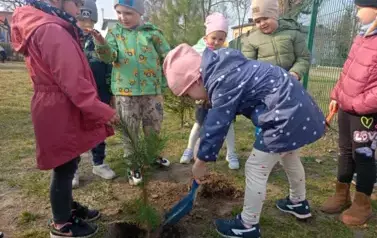 Sadzimy drzewka w naszym ogrodzie przedszkolnym 27
