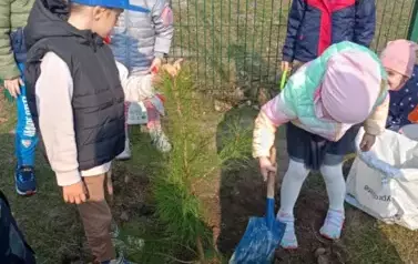 Sadzimy drzewka w naszym ogrodzie przedszkolnym 28