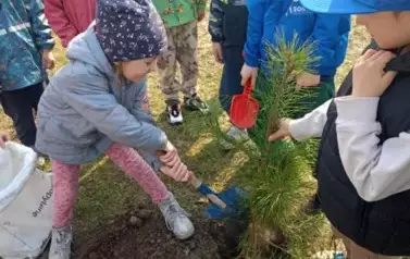 Sadzimy drzewka w naszym ogrodzie przedszkolnym 29
