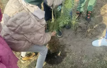 Sadzimy drzewka w naszym ogrodzie przedszkolnym 37