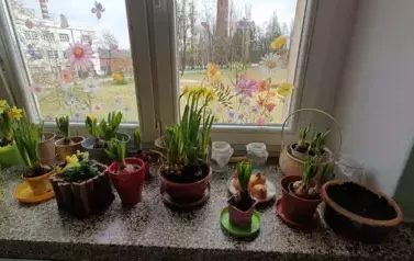 Poznajemy pierwsze oznaki wiosny - Oddział Motyle 5
