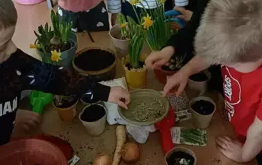 Poznajemy pierwsze oznaki wiosny - Oddział Motyle 14