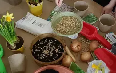 Poznajemy pierwsze oznaki wiosny - Oddział Motyle 15