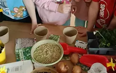 Poznajemy pierwsze oznaki wiosny - Oddział Motyle 22