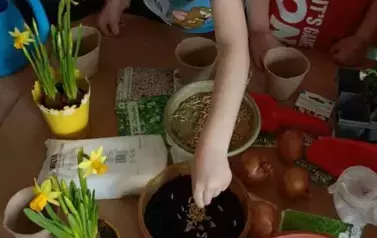 Poznajemy pierwsze oznaki wiosny - Oddział Motyle 24