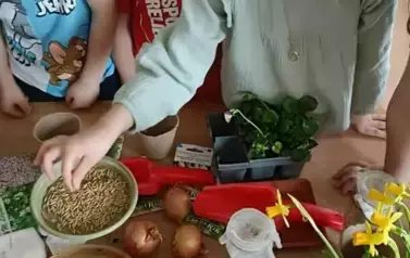 Poznajemy pierwsze oznaki wiosny - Oddział Motyle 28