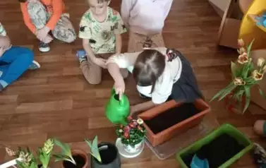  Kącik zieleni w Nutkach. 2