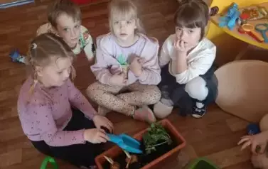  Kącik zieleni w Nutkach. 3