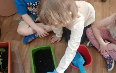  Kącik zieleni w Nutkach. 6
