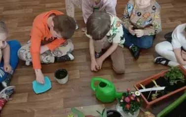 Kącik zieleni w Nutkach. 7