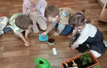  Kącik zieleni w Nutkach. 8
