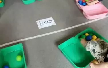 Matematyka na sportowo - oddział III Motyle 1