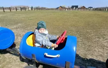 Wycieczka do zagrody w Zakrzewie - oddział III Motyle  4