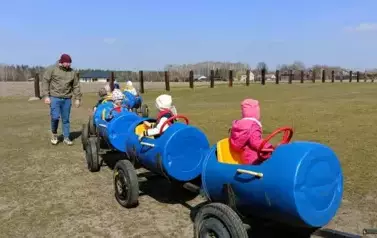 Wycieczka do zagrody w Zakrzewie - oddział III Motyle  11