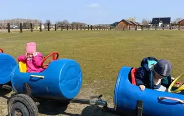 Wycieczka do zagrody w Zakrzewie - oddział III Motyle  14