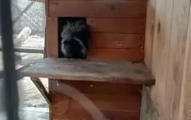 Wycieczka do zagrody w Zakrzewie - oddział III Motyle  36