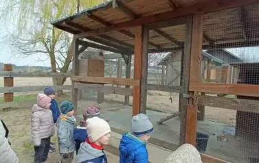 Wycieczka do zagrody w Zakrzewie - oddział III Motyle  41