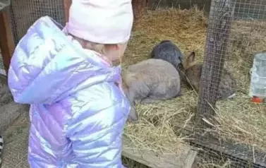 Wycieczka do zagrody w Zakrzewie - oddział III Motyle  43