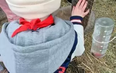 Wycieczka do zagrody w Zakrzewie - oddział III Motyle  46