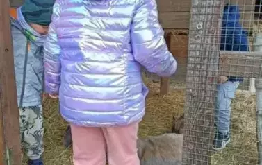 Wycieczka do zagrody w Zakrzewie - oddział III Motyle  48