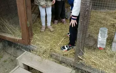 Wycieczka do zagrody w Zakrzewie - oddział III Motyle  50