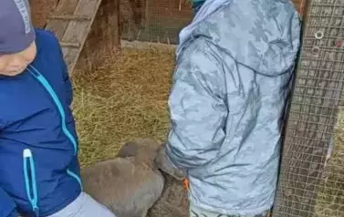Wycieczka do zagrody w Zakrzewie - oddział III Motyle  51