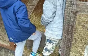 Wycieczka do zagrody w Zakrzewie - oddział III Motyle  52
