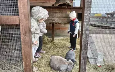 Wycieczka do zagrody w Zakrzewie - oddział III Motyle  53