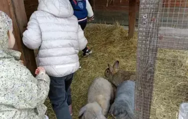 Wycieczka do zagrody w Zakrzewie - oddział III Motyle  55