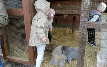 Wycieczka do zagrody w Zakrzewie - oddział III Motyle  56