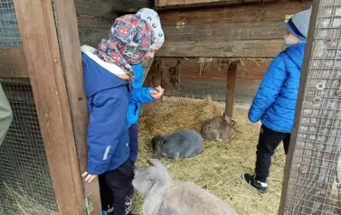 Wycieczka do zagrody w Zakrzewie - oddział III Motyle  57