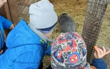 Wycieczka do zagrody w Zakrzewie - oddział III Motyle  58