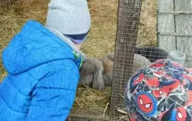 Wycieczka do zagrody w Zakrzewie - oddział III Motyle  59