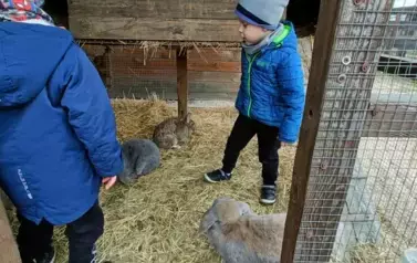 Wycieczka do zagrody w Zakrzewie - oddział III Motyle  60