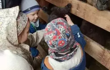 Wycieczka do zagrody w Zakrzewie - oddział III Motyle  64